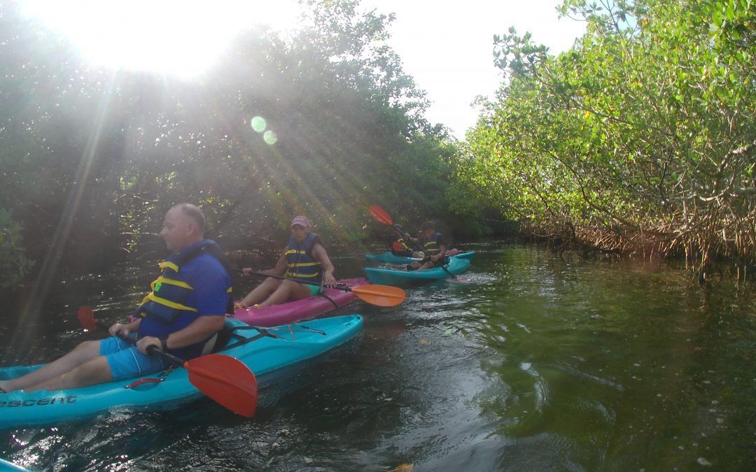 This was our inaugural Foster Kids group activity trip! Kayaks!